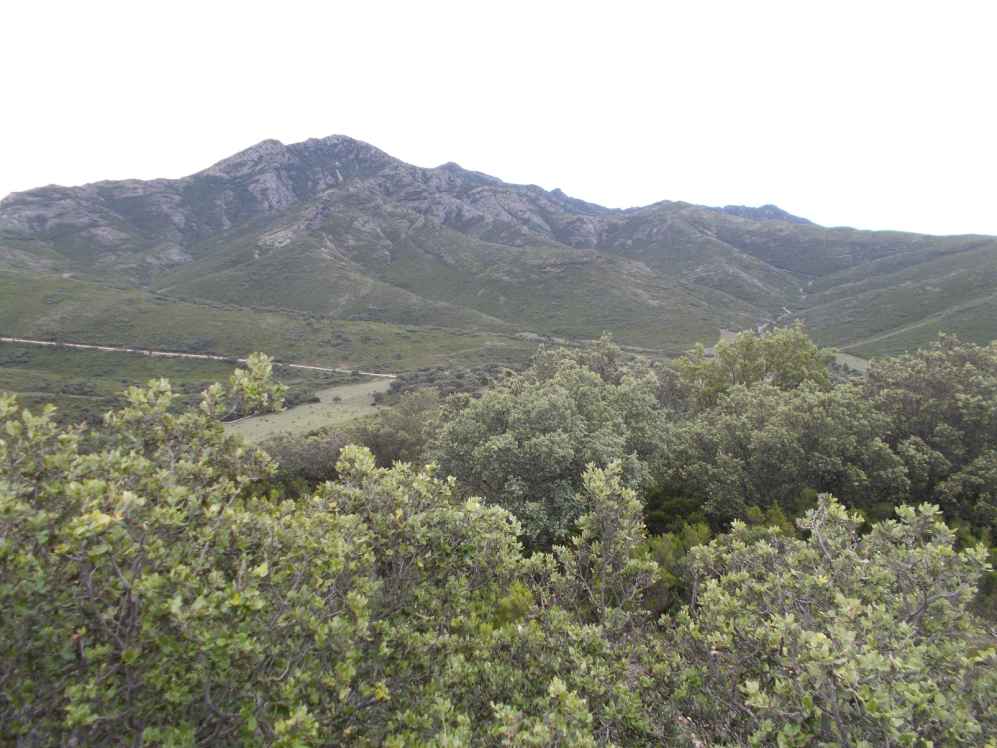 valle du mas pils