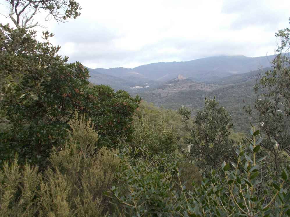 chateau de Requesens