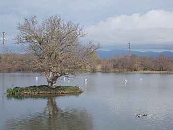 observatoire de Gantes