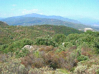 massif du Canigou.jpg