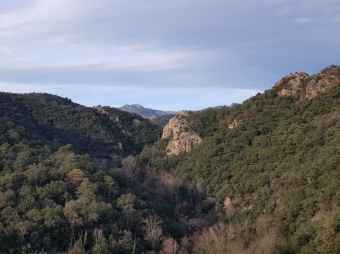riu Arnera.jpg