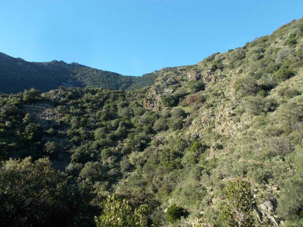 riviere de portbou