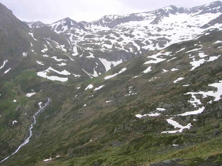 Barlongure