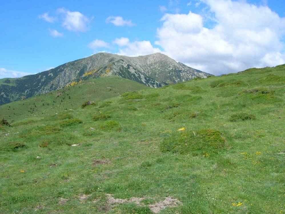 pic Gallinasse