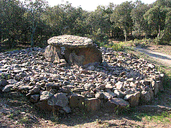 Dolmen Creu de la Falibe.jpg