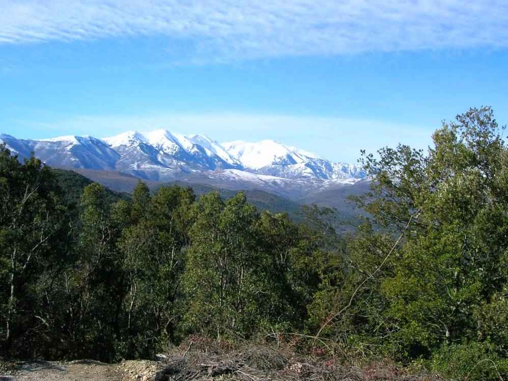massif du Canigou