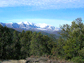 massif du Canigou.jpg