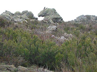 cheval de pierre.jpg