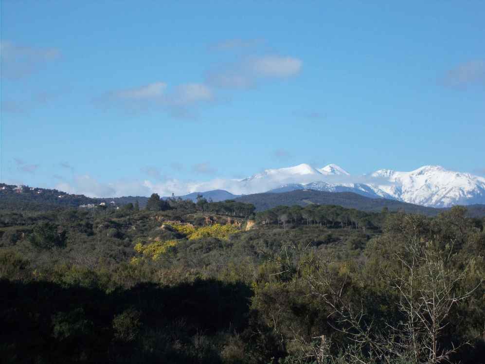 fort du Rart