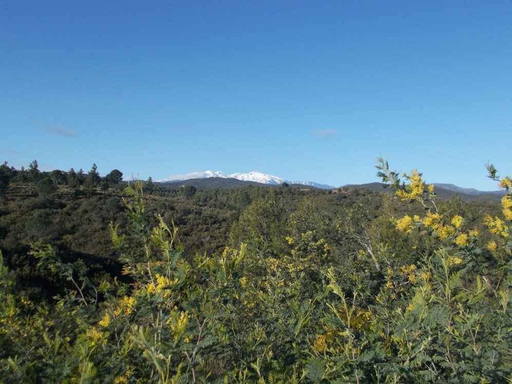 massif du Canigou