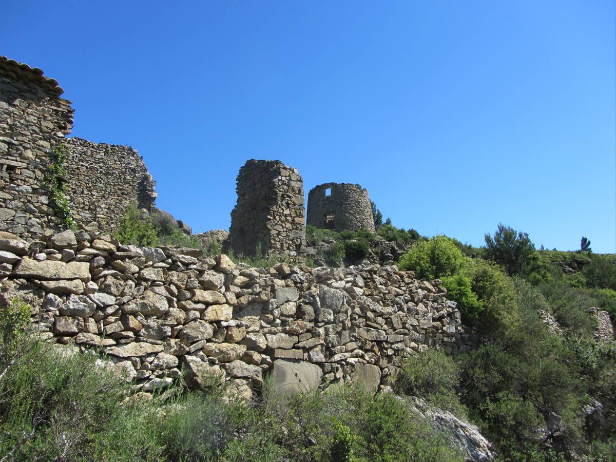moulin  vent.jpg