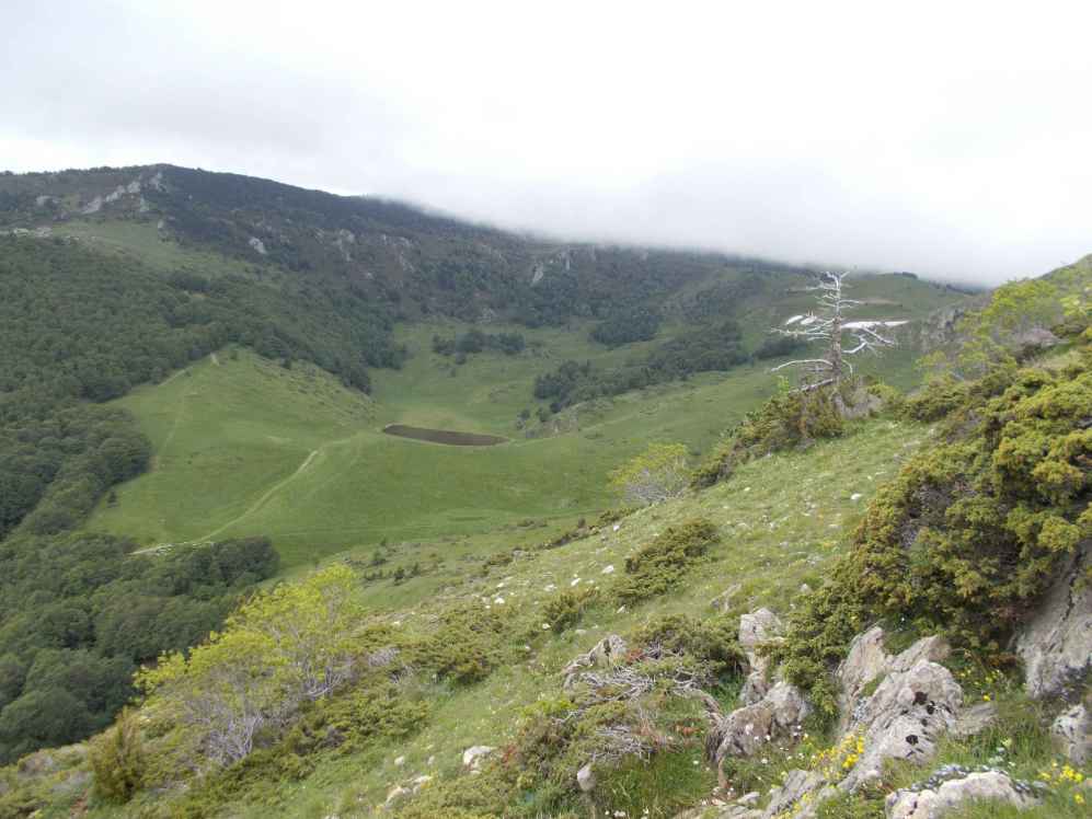 font de canalette