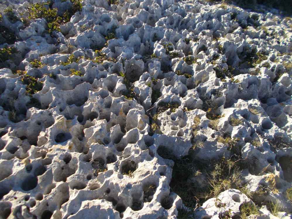 dentelle de pierre