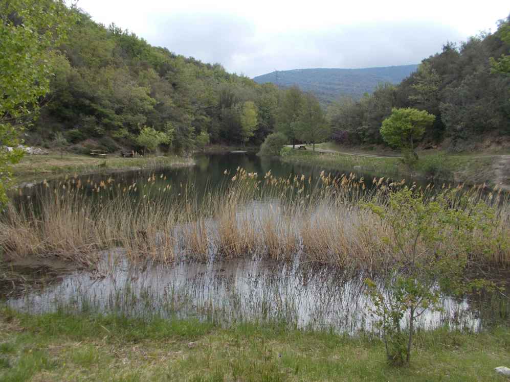 plan d'eau des Bacs de Maisons