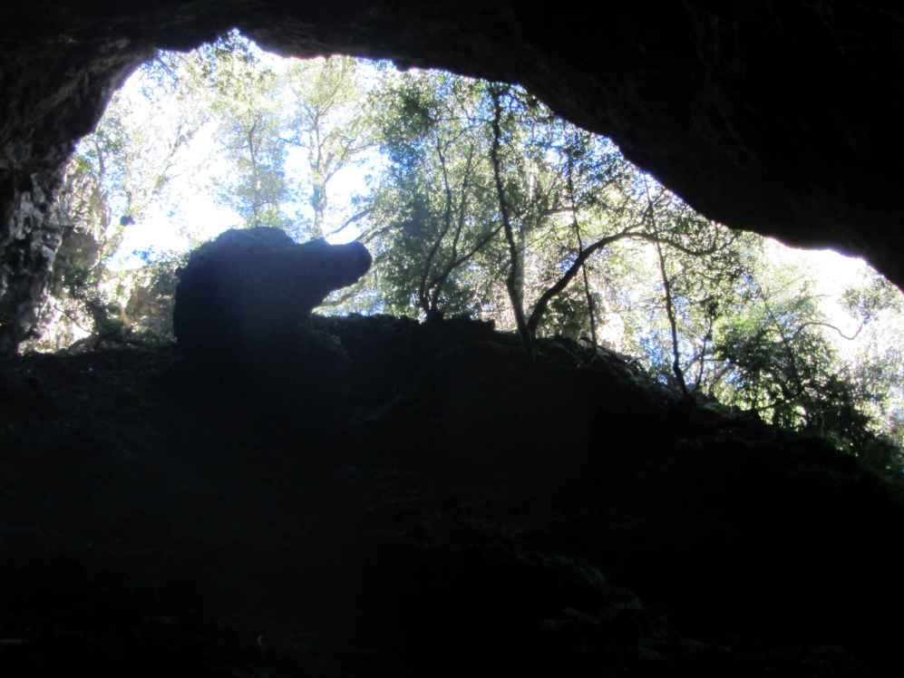 grotte caune du causse à palairac