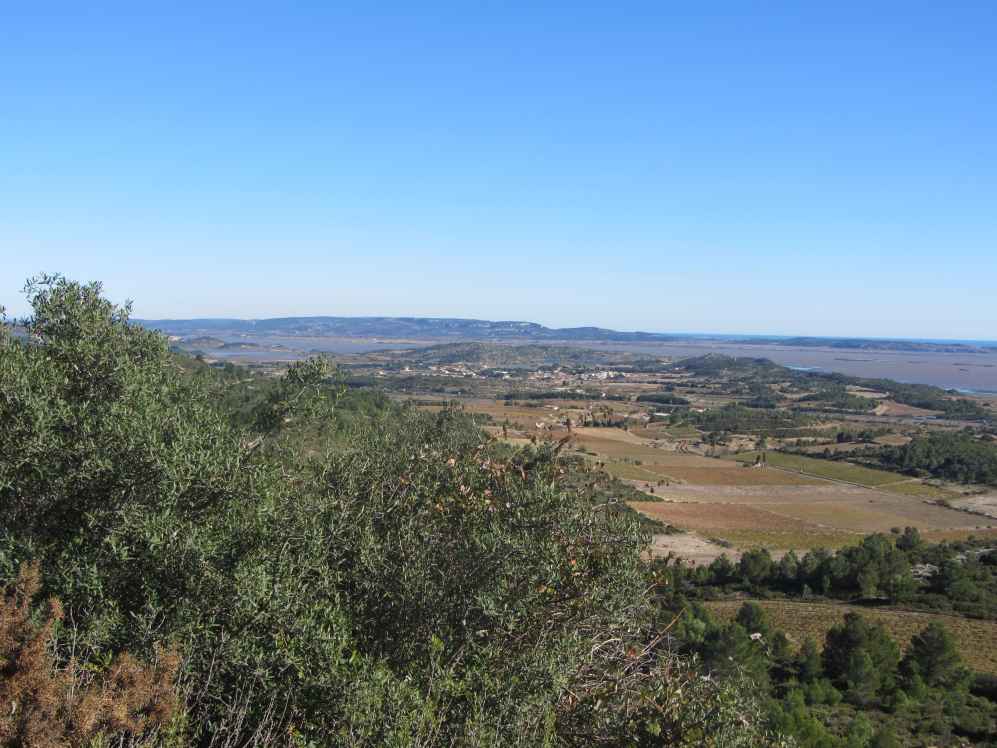étang de bages