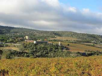 chateau de lastours.jpg