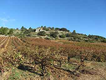 la serre de portel.jpg