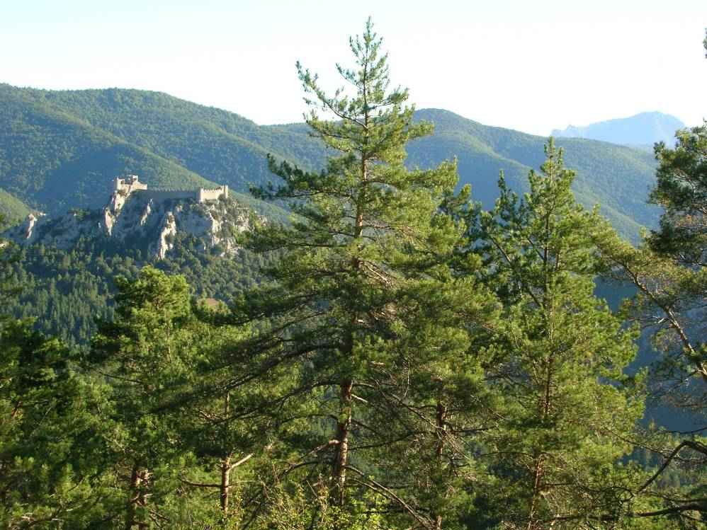 Puilaurens