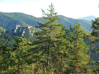 Puilaurens.jpg