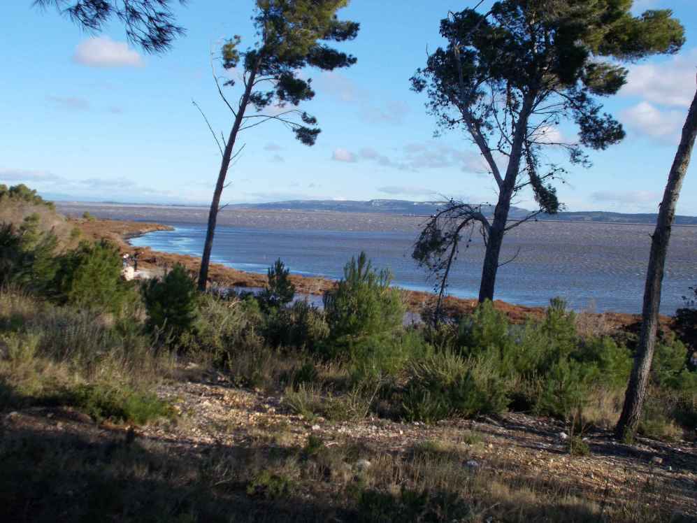 ile sainte lucie