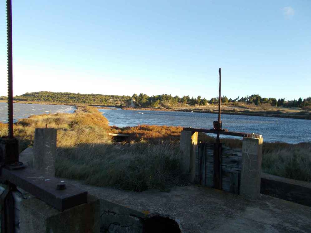 le grand salin