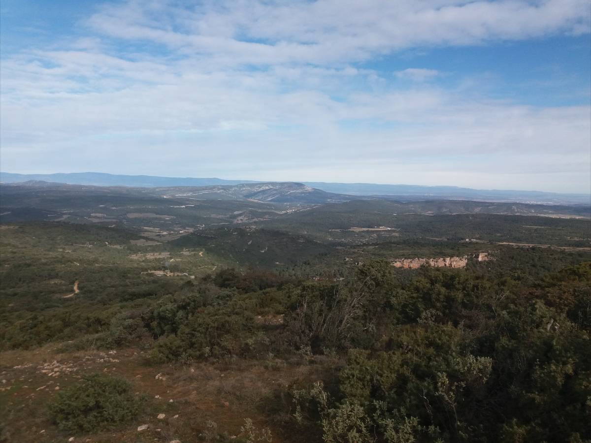mont