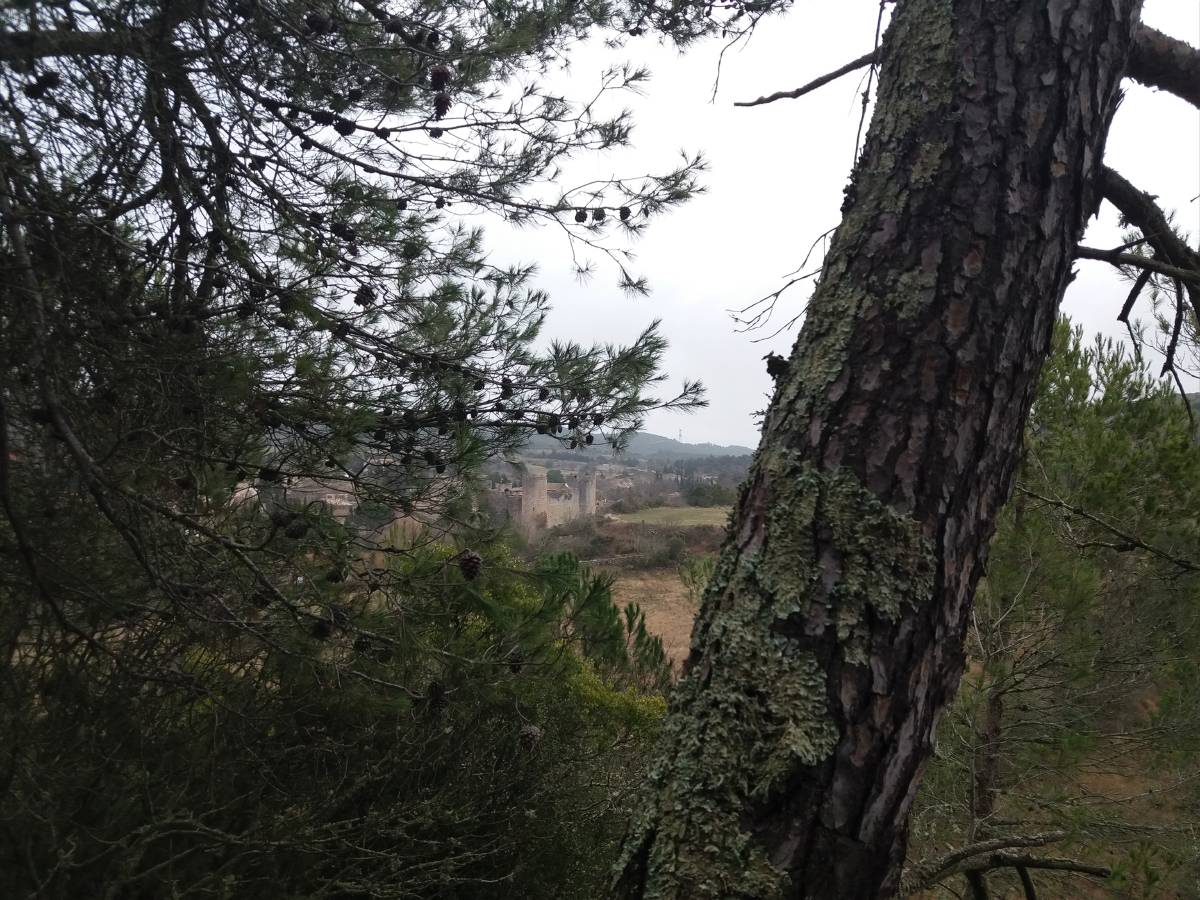 chteau de Villerouge Termenes.jpg