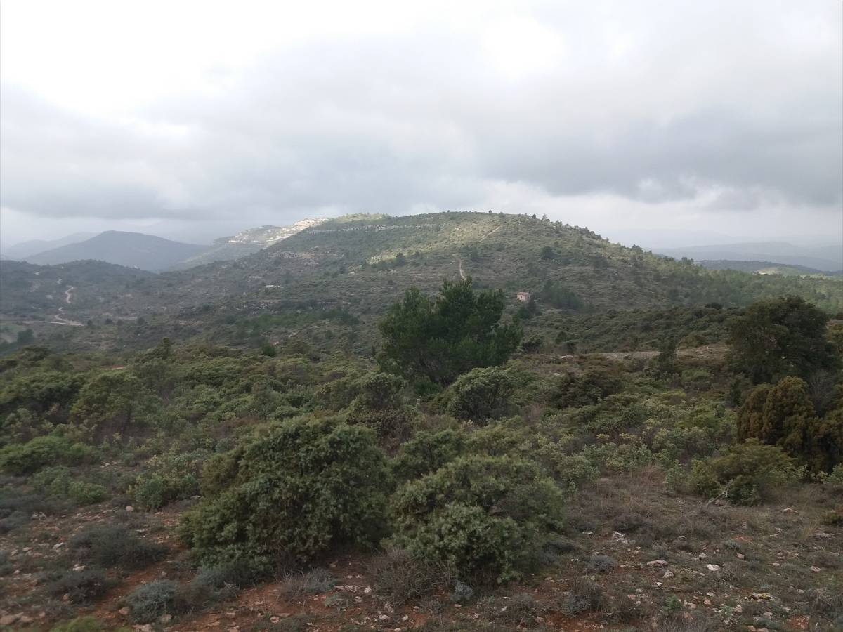 pech de Blanes.jpg