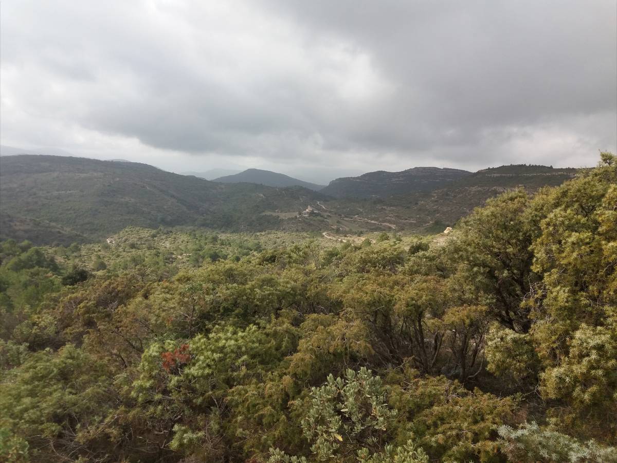 valle de Mont Major.jpg
