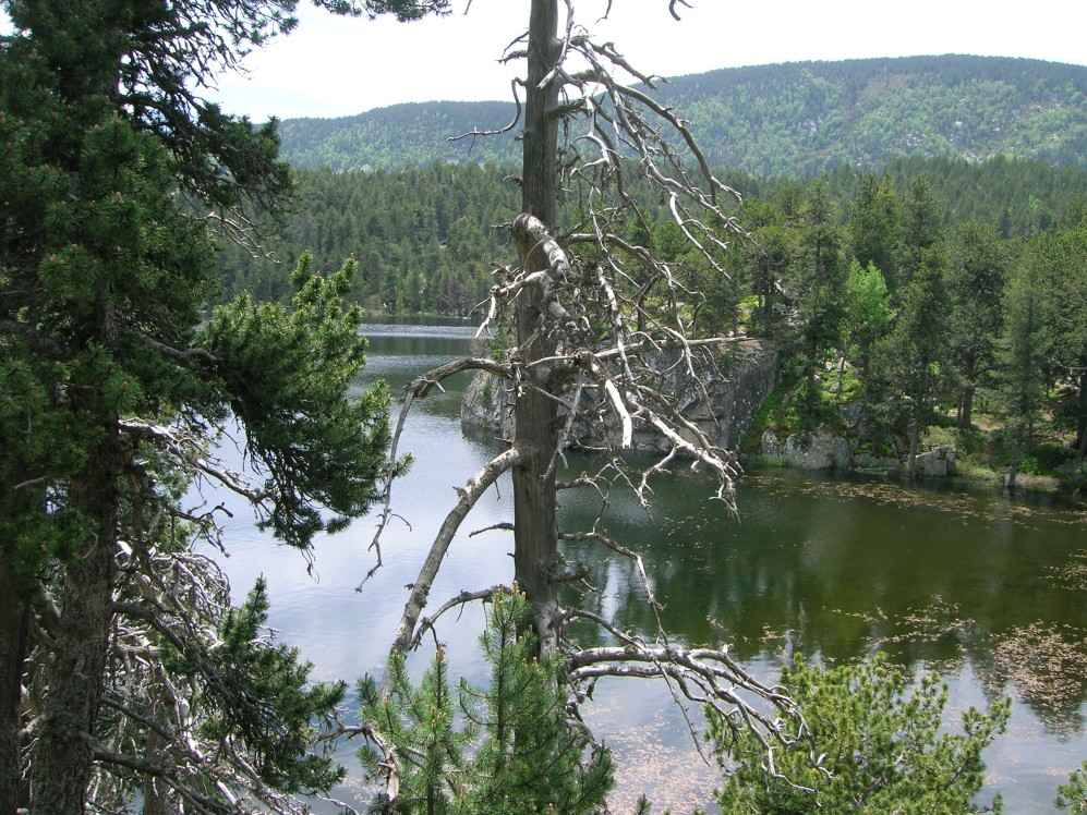 lac Negre