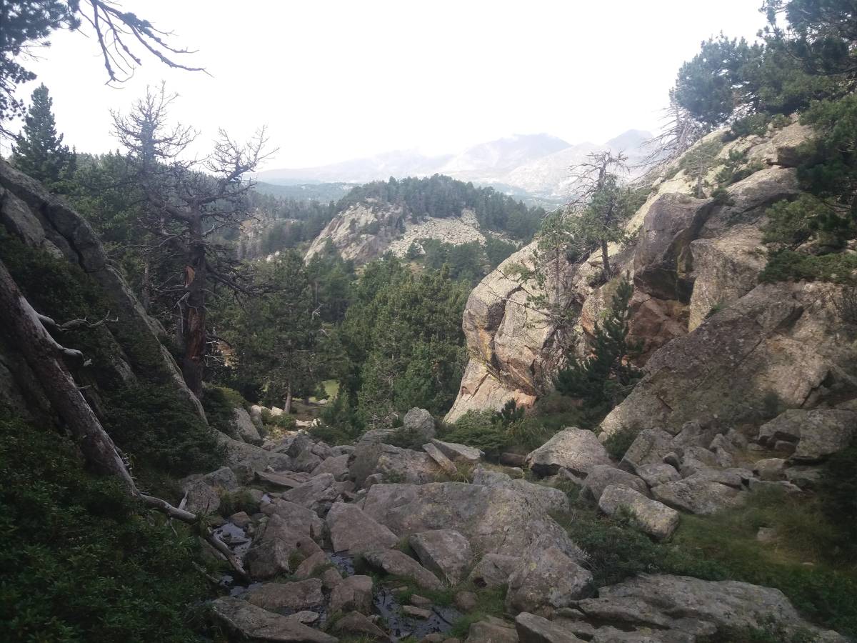 el malpas.jpg