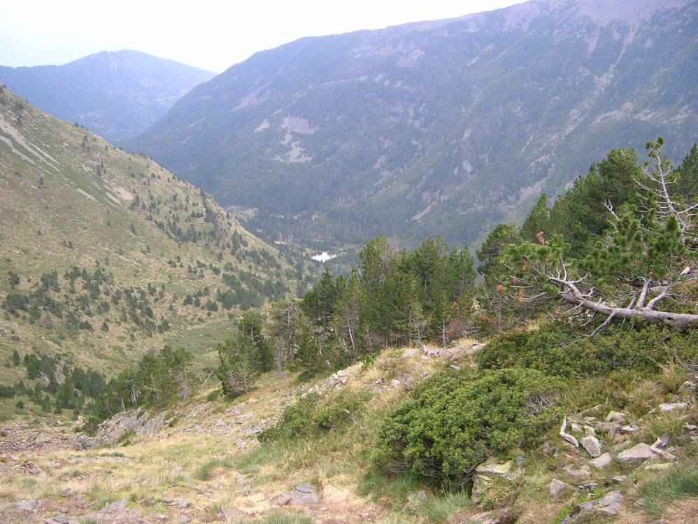 valle de la Lladura