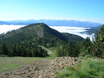 Perxes Blanques.jpg