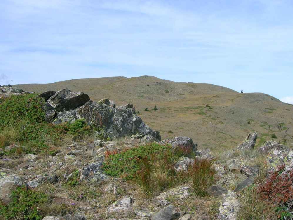 puig del pam aux angles