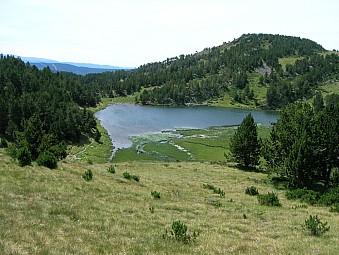 estany de la llosa.jpg