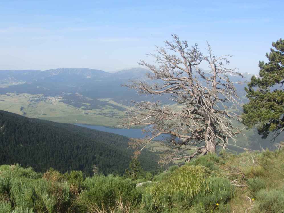 capcir et lac de Matemale