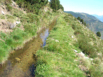 canal de mata negra .jpg