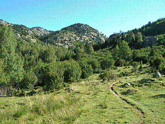 puig del Cap de l'Home.jpg