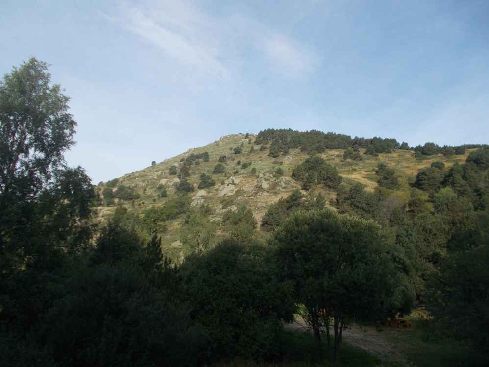 le Solana.jpg