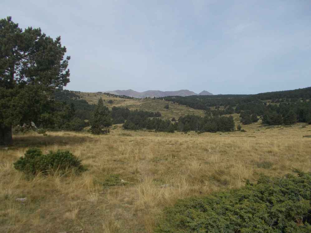 massif du Carlit
