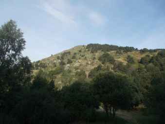 le Solana.jpg