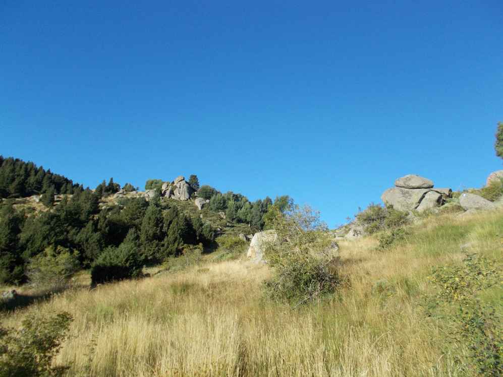 planell del freser