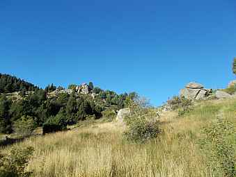 planell del freser.jpg