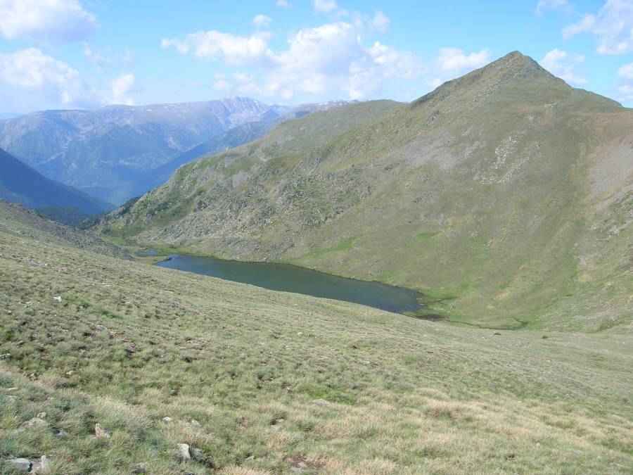 estany de coma d'or