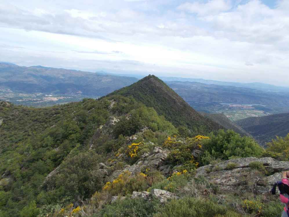 pic maurous