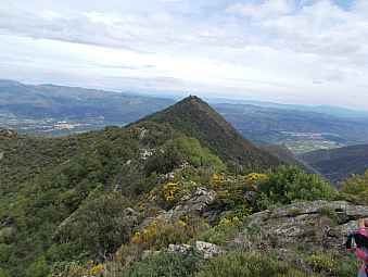 pic maurous.jpg