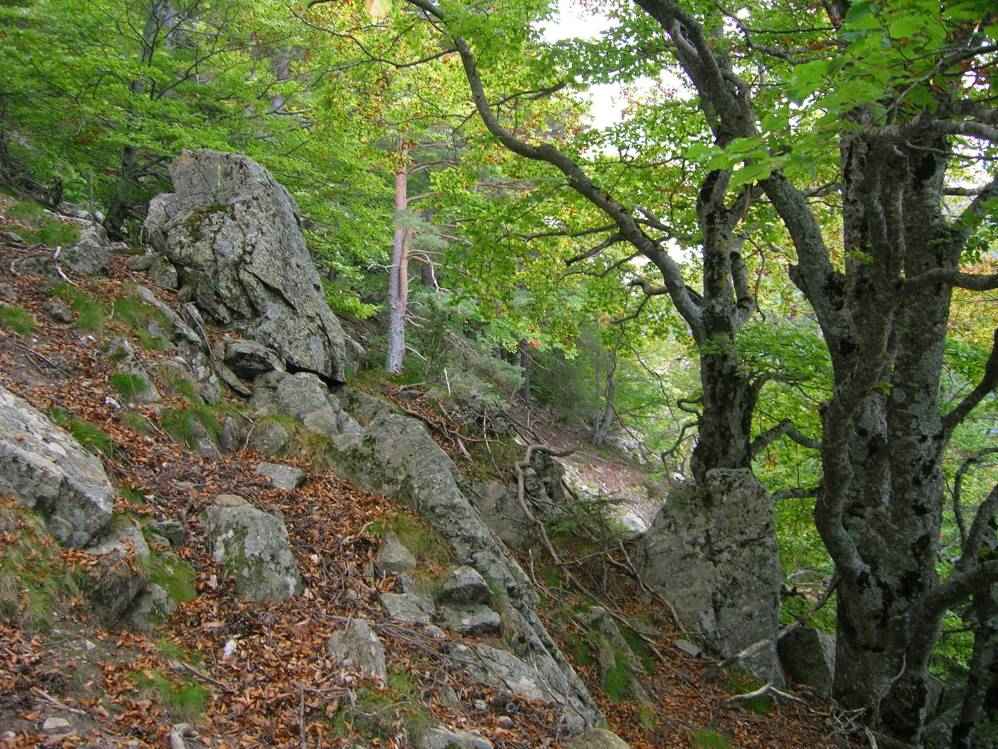 col de Teixo