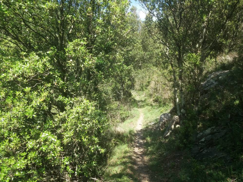 chemin de Rabolledes.jpg