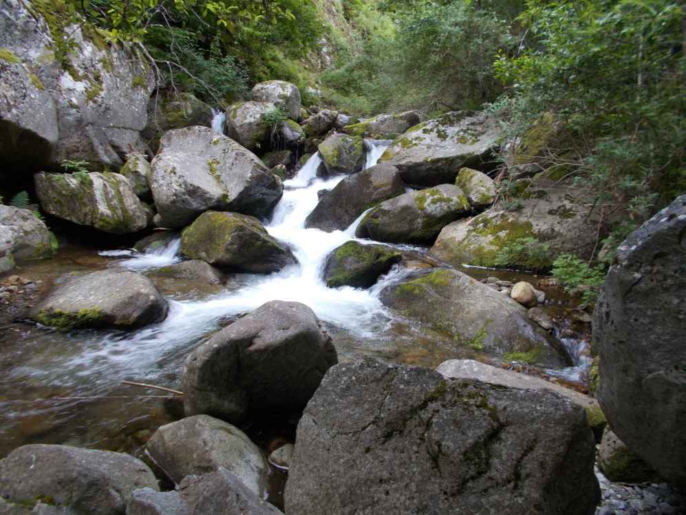 cascade du cady
